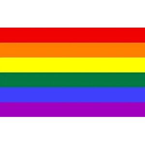 LinDER Drapeau Arc en Ciel LGBT+ 90x150cm