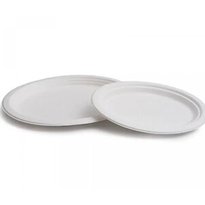 Betik Assiette Ovale Canne a sucre 32x26cm (Lot de 50)