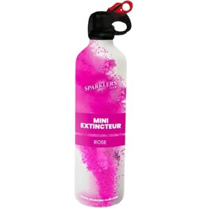 Mini Extincteur a poudre Holi - Rose