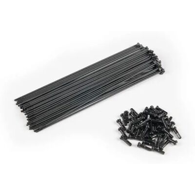 Rayon Eclat PG (x40) Noir 180 mm Unisex - Publicité Rayon Eclat PG (x40) Noir 180 mm Unisex - Publicité