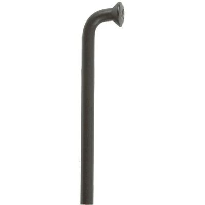 Boîte de 100 rayons DT Swiss champion 290x2 Noir TU Unisex - Publicité Boîte de 100 rayons DT Swiss champion 290x2 Noir TU Unisex - Publicité