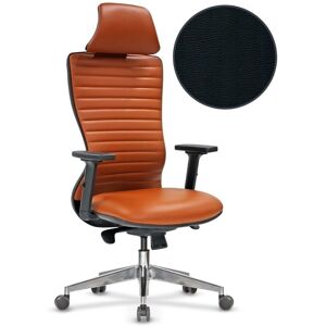 Toscohome Fauteuil de bureau avec accoudoirs réglables et parcours noir - Arya