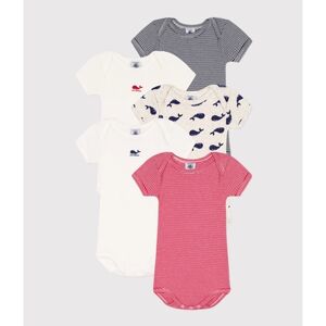 Petit Bateau Body bébé manches longues baleine lot de 5 62 (3 mois)