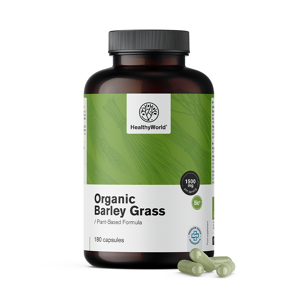Healthy World Herbe dorge BIO 1500 mg 180 gelules