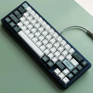 Capuchons de touches PBT Dye Subbed pour clavier mécanique  GBrosBotanical  aucun profil avec ISO