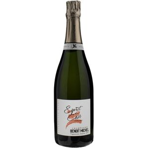 Benoit Michel Esprit de Cave Assemblage Blanc Extra Brut 2007