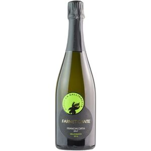 Borgo la Gallinaccia Franciacorta Farneticante Brut Millesimato 2016