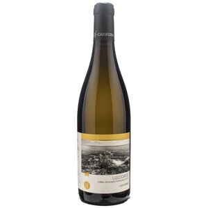 Ca Du Ferra Colline Levanto Vermentino Luccicante 2022