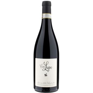 Paladin Casa Lupo Amarone della Valpolicella 2019