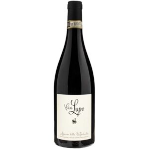 Paladin Casa Lupo Amarone della Valpolicella 2020