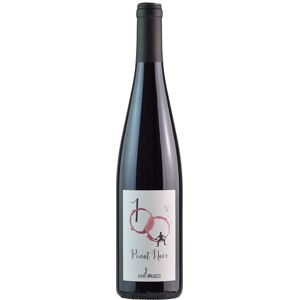 Domaine Louis Maurer Alsace 100% Pinot Noir 2019