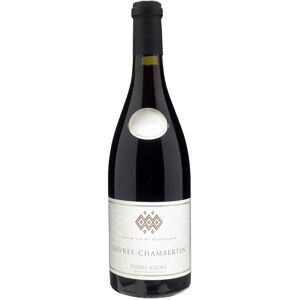 Pierre Andre Gevrey Chambertin 2020