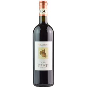 Pojer e Sandri Rosso Faye 2017