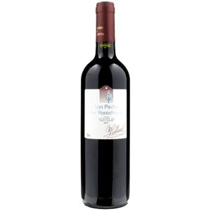 Michel Rolland Collection San Pedro de Yacochuya Tinto 2019