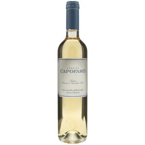 Tasca dAlmerita Tenuta Capofaro Salina 05L 2022