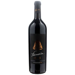 TerreCarsiche1939 Terre Carsiche Gioia del Colle Primitivo Fanova Riserva 2019