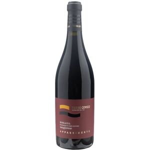 Terre Cevico Romagna Sangiovese Appassimento 2021