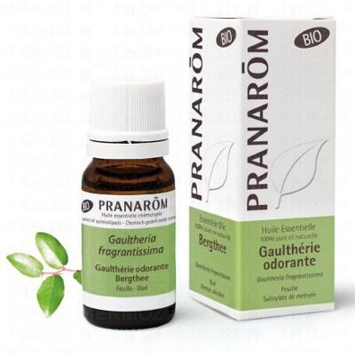 Pranarom Huile Essentielle Gaultherie Odorante Bio Flacon 10ml - Publicité Pranarom Huile Essentielle Gaultherie Odorante Bio Flacon 10ml - Publicité