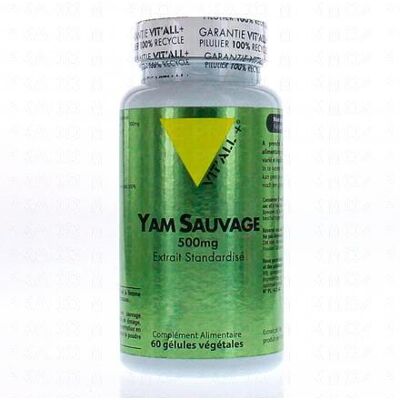 Vitall+ Igname sauvage 500mg Extrait standardisé - 60 capsules végétales - Publicité Vitall+ Igname sauvage 500mg Extrait standardisé - 60 capsules végétales - Publicité