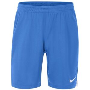 Nike Team Spike Short pour Homme Discipline : Volleyball Couleur : Royal Blue/White Taille : S Bleu S male