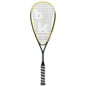 Raquette de squash Black Knight QuickSilver nXs argentee unisex