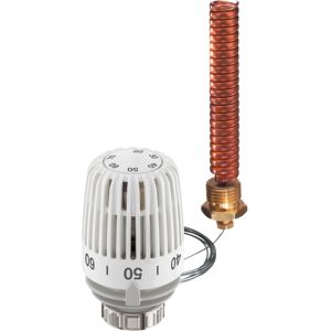 Heimeier tete thermostatique 6672 a 00,500 R 2000 / 2x128mm, blanc, le capteur d'immersion en spirale