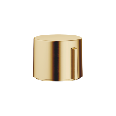 Dornbracht Actionneur excentrique - Commande rotative - Laiton brossé - Accessoire pour lavabo - Publicité Dornbracht Actionneur excentrique - Commande rotative - Laiton brossé - Accessoire pour lavabo - Publicité