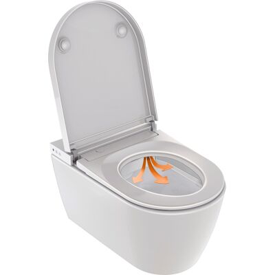 Duravit SensoWash Starck F WC Compact Bidet - WC Lavant - Publicité Duravit SensoWash Starck F WC Compact Bidet - WC Lavant - Publicité
