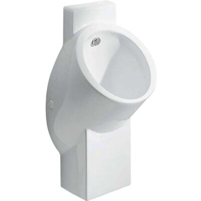 Urinal Geberit Centaurus Hybride - Montage mural, 32,5cm - Publicité Urinal Geberit Centaurus Hybride - Montage mural, 32,5cm - Publicité