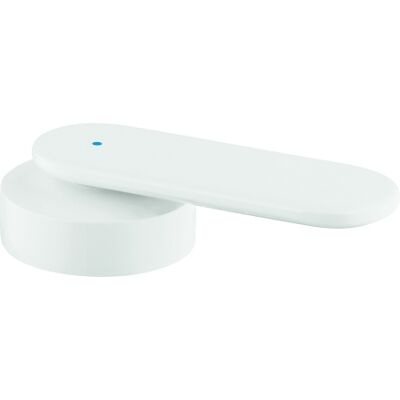 Grohe Modèle 48015LS0 Poignée de Robinet Murale Bleue - Publicité Grohe Modèle 48015LS0 Poignée de Robinet Murale Bleue - Publicité
