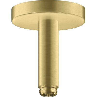 Hansgrohe Axor Raccord de Douche - Montage en Surface - 100mm - Laiton Brossé - Publicité Hansgrohe Axor Raccord de Douche - Montage en Surface - 100mm - Laiton Brossé - Publicité