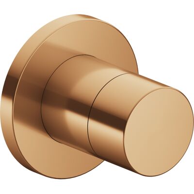KEUCO IXMO 59557 - Vanne 2 voies, Bronze brossé, Rosette ronde - Valve - Publicité KEUCO IXMO 59557 - Vanne 2 voies, Bronze brossé, Rosette ronde - Valve - Publicité