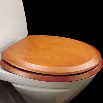 Siège WC Pressalit B47999 - Acier inoxydable - Standard - Publicité Siège WC Pressalit B47999 - Acier inoxydable - Standard - Publicité
