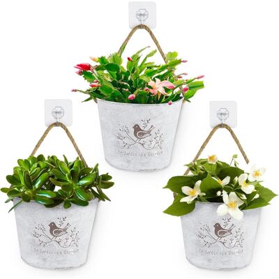 ECLEANFY 3 Pots De Fleurs Muraux En Fer, Style Vintage, Adaptés À Une Utilisation Intérieure Et Extérieure, Balcons, Jardins, Terrasses Et Plantes (pots De Fleurs Uniquement, Sans Fleurs Ni Autres Articles). Publicité ECLEANFY 3 Pots De Fleurs Muraux En Fer, Style Vintage, Adaptés À Une Utilisation Intérieure Et Extérieure, Balcons, Jardins, Terrasses Et Plantes (pots De Fleurs Uniquement, Sans Fleurs Ni Autres Articles). Publicité
