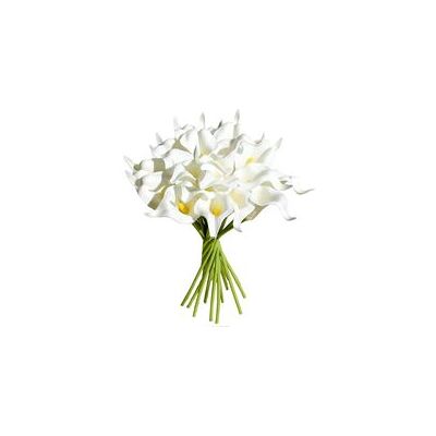 OEM 20 Fleurs Artificielles De Lys Calla En Latex, Bouquet De Mariée Artificiel Pour La Décoration De La Maison Et Des Fêtes De Mariage (blanc) - Publicité OEM 20 Fleurs Artificielles De Lys Calla En Latex, Bouquet De Mariée Artificiel Pour La Décoration De La Maison Et Des Fêtes De Mariage (blanc) - Publicité