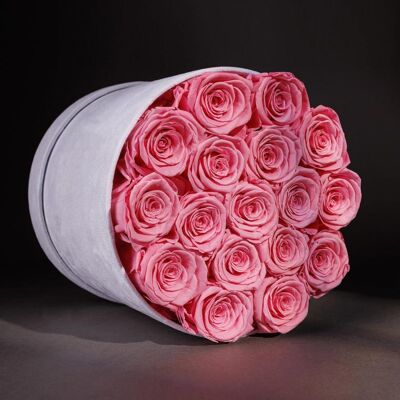 OEM 19 Roses Préservées Rose Clair (coffret Cadeau De Luxe En Velours) - Publicité OEM 19 Roses Préservées Rose Clair (coffret Cadeau De Luxe En Velours) - Publicité