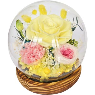 OEM Fleurs Stabilisées Sous Cloche En Verre - Cadeaux Pour Votre Petite Amie/épouse À L'Occasion De La Fête De Qixi, De La Saint-valentin, De Noël, D'Une Remise De Diplôme Ou D'Un Anniversaire - Publicité OEM Fleurs Stabilisées Sous Cloche En Verre - Cadeaux Pour Votre Petite Amie/épouse À L'Occasion De La Fête De Qixi, De La Saint-valentin, De Noël, D'Une Remise De Diplôme Ou D'Un Anniversaire - Publicité