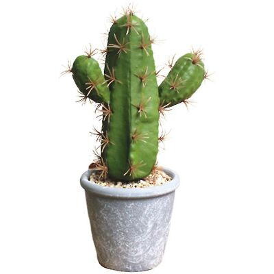 YUDO 1 Bonsaï De Cactus Imitant - Publicité YUDO 1 Bonsaï De Cactus Imitant - Publicité