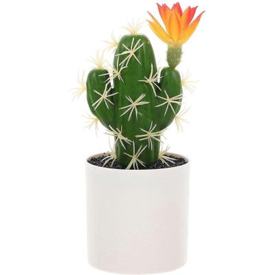 LISATR Cactus Artificiel, Plante Bonsaï, Fleur Artificielle, Plante En Plastique-7.6x7.6x23cm - Publicité LISATR Cactus Artificiel, Plante Bonsaï, Fleur Artificielle, Plante En Plastique-7.6x7.6x23cm - Publicité