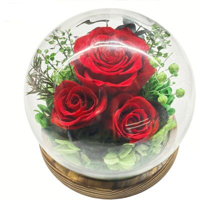 OEM Coffret Cadeau De Fleurs Stabilisées — Dôme Sphérique En Verre Avec Bande Led Intégrée Un Cadeau Pratique Pour Les Anniversaires Et La Saint-valentin — Modèle 2 - Publicité OEM Coffret Cadeau De Fleurs Stabilisées — Dôme Sphérique En Verre Avec Bande Led Intégrée Un Cadeau Pratique Pour Les Anniversaires Et La Saint-valentin — Modèle 2 - Publicité