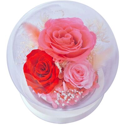 OEM Fleurs Stabilisées Sous Cloche En Verre - Cadeaux Pour Votre Petite Amie/épouse À L'Occasion De La Fête De Qixi, De La Saint-valentin, De Noël, D'Une Remise De Diplôme Ou D'Un Anniversaire - Publicité OEM Fleurs Stabilisées Sous Cloche En Verre - Cadeaux Pour Votre Petite Amie/épouse À L'Occasion De La Fête De Qixi, De La Saint-valentin, De Noël, D'Une Remise De Diplôme Ou D'Un Anniversaire - Publicité