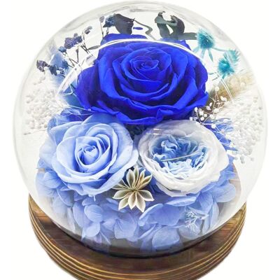 OEM Coffret Cadeau De Fleurs Stabilisées — Dôme Sphérique En Verre Avec Bande Led Intégrée Un Cadeau Pratique Pour Les Anniversaires Et La Saint-valentin — Style 4 - Publicité OEM Coffret Cadeau De Fleurs Stabilisées — Dôme Sphérique En Verre Avec Bande Led Intégrée Un Cadeau Pratique Pour Les Anniversaires Et La Saint-valentin — Style 4 - Publicité