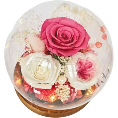 OEM Fleurs Stabilisées Sous Cloche En Verre - Cadeaux Pour Votre Petite Amie/épouse À L'Occasion De La Fête De Qixi, De La Saint-valentin, De Noël, D'Une Remise De Diplôme Ou D'Un Anniversaire - Publicité OEM Fleurs Stabilisées Sous Cloche En Verre - Cadeaux Pour Votre Petite Amie/épouse À L'Occasion De La Fête De Qixi, De La Saint-valentin, De Noël, D'Une Remise De Diplôme Ou D'Un Anniversaire - Publicité