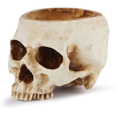 AHLSEN Bravix Pot De Fleurs Tête De Mort En Résine Vase Tête De Mort Modèle De Tête En Résine Pour Halloween Fête, Décorations D'Intérieur - Publicité AHLSEN Bravix Pot De Fleurs Tête De Mort En Résine Vase Tête De Mort Modèle De Tête En Résine Pour Halloween Fête, Décorations D'Intérieur - Publicité