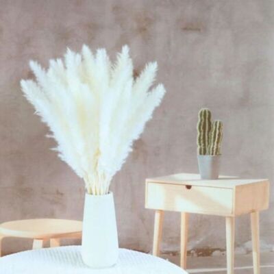SANS MARQUE Lot De 15 Grandes Joncs Artificiels En Herbe De Pampa Pour Remplissage De Vase, Maison, Cuisine, Mariage, Bureau, Décoration Bohème - Publicité SANS MARQUE Lot De 15 Grandes Joncs Artificiels En Herbe De Pampa Pour Remplissage De Vase, Maison, Cuisine, Mariage, Bureau, Décoration Bohème - Publicité