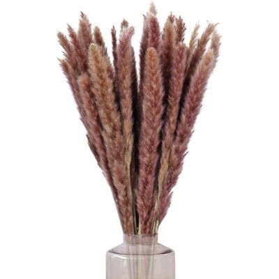OEM 30pcs Herbes De La Pampas Sechees Decoration 60cm Bouquet Fleurs Séchées Natur Deco Brun Phragmites Pampas Artifici Plante Pour Mariage Vase Intérieure Maison Cuisine Balcon - Publicité OEM 30pcs Herbes De La Pampas Sechees Decoration 60cm Bouquet Fleurs Séchées Natur Deco Brun Phragmites Pampas Artifici Plante Pour Mariage Vase Intérieure Maison Cuisine Balcon - Publicité