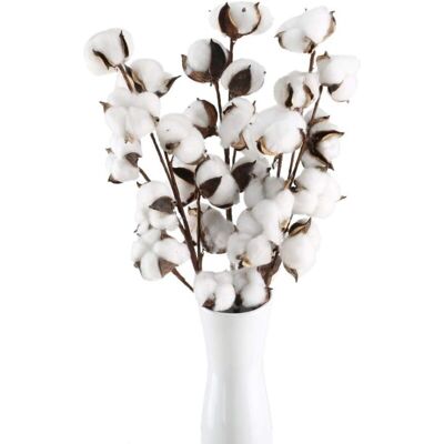 XISRENS 3 Branche Fleur De Coton Naturelle 10 Têtes Ave Tiges Artificielles Fleurs De Coton Séchées Fausse Plante Naturel Décoration Pour Interieur Vase Balcon Mariage Maison Composition Floral - Publicité XISRENS 3 Branche Fleur De Coton Naturelle 10 Têtes Ave Tiges Artificielles Fleurs De Coton Séchées Fausse Plante Naturel Décoration Pour Interieur Vase Balcon Mariage Maison Composition Floral - Publicité