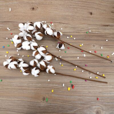 MCKENSA Lot De 3 Tiges De Kapok Séchées (10 Capsules) En Coton Naturel, 60 Cm, Pour Décoration De Mariage, Fête Ou Maison. Publicité MCKENSA Lot De 3 Tiges De Kapok Séchées (10 Capsules) En Coton Naturel, 60 Cm, Pour Décoration De Mariage, Fête Ou Maison. Publicité