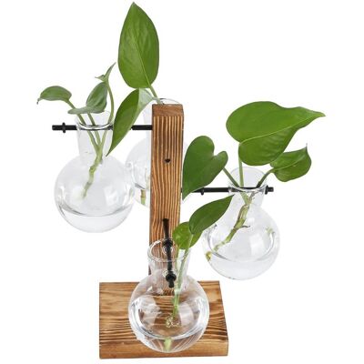 PELTOR Jeffergarden Vase Hydroponique Innovant Avec Support En Bois, Fleur De Bureau Transparente Pour La Maison - Publicité PELTOR Jeffergarden Vase Hydroponique Innovant Avec Support En Bois, Fleur De Bureau Transparente Pour La Maison - Publicité