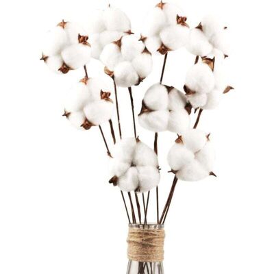 OEM 10 Fleurs De Coton Séchées Naturelles, Tiges Décoratives, Idéales Pour Les Compositions Florales, La Décoration Intérieure, Les Balcons Et La Décoration De Table. Publicité OEM 10 Fleurs De Coton Séchées Naturelles, Tiges Décoratives, Idéales Pour Les Compositions Florales, La Décoration Intérieure, Les Balcons Et La Décoration De Table. Publicité